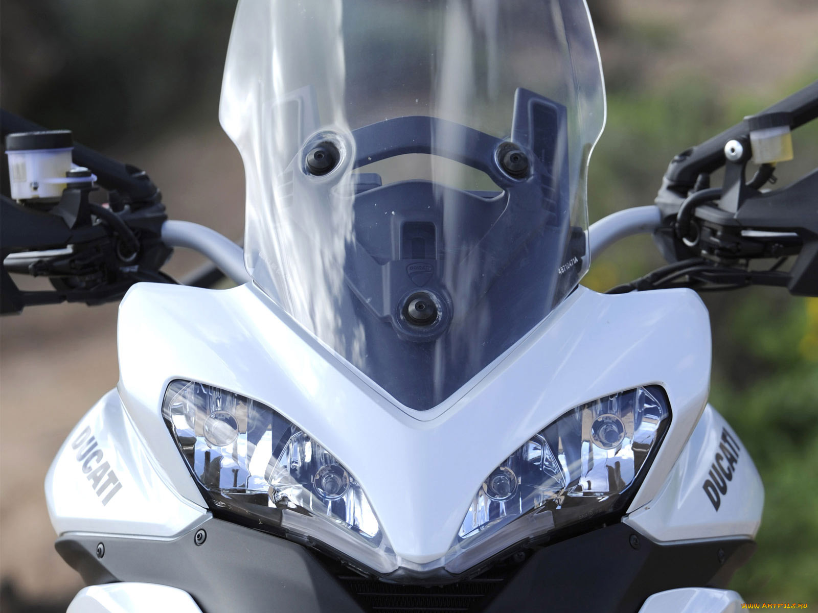 , ducati